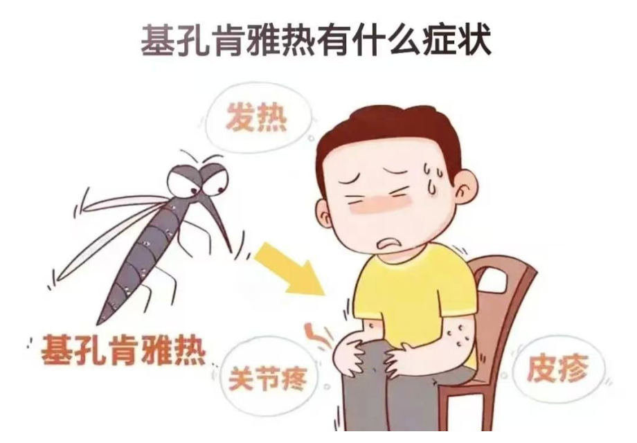2996477fd29e4d8fac86549914db2cb5.png