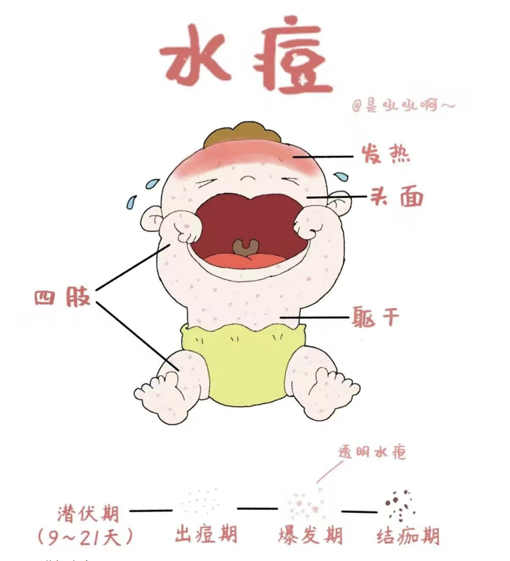 8734aa******147e49386ed6aa7b39191.png