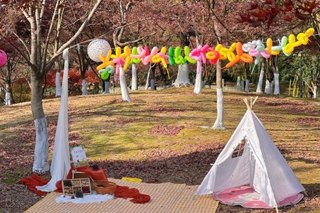 暖阳沐冬林，亲子探枫影　——记南沙幼儿园中班组亲子研学活动