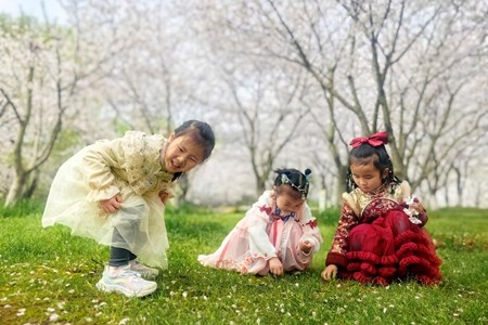 “樱”你而美，春日漫游——记南沙幼儿园中班组亲子研学活动